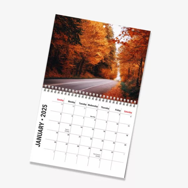 Calendar wire middle jpg